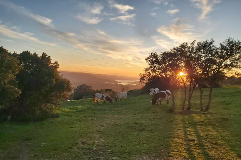 Granja loma de los donceles
