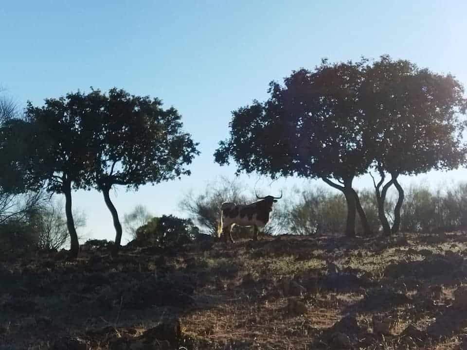 Granja Loma de los donceles