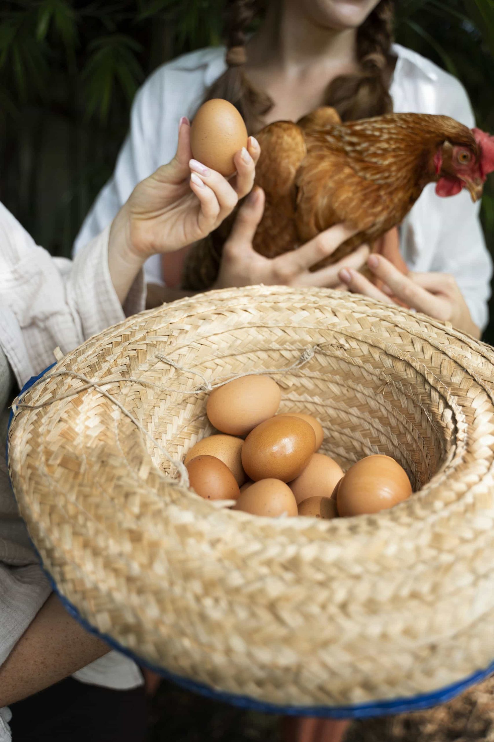 mujer-alto-angulo-huevos